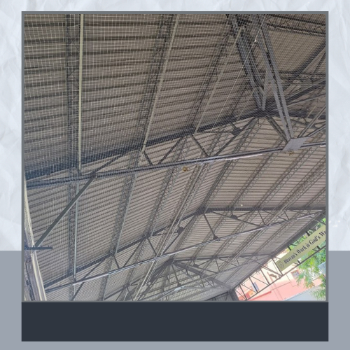 School Auditorium Net